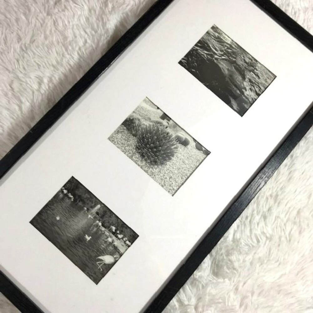 Vintage Black Wood White Matte 3 Print Black/White Glass Framed Art